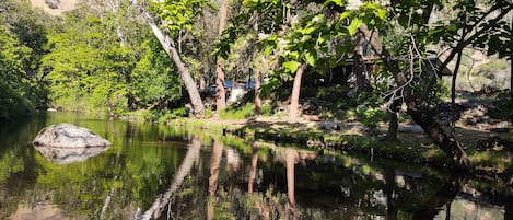 Overnatningsstedets område