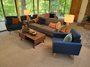 TV connectée, cheminée, lecteur de DVD, livres