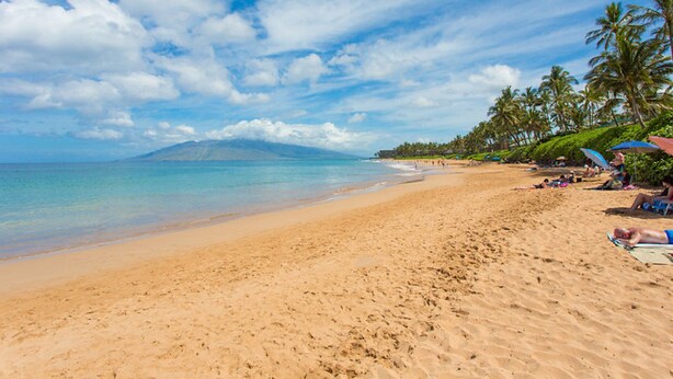 Une plage à l’eau turquoise et limpide, avec un rivage sablonneux et des palmiers.