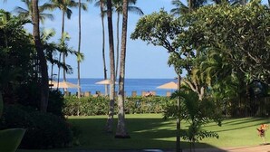Un jardin tropical avec des palmiers, une pelouse et une vue sur l’océan.
