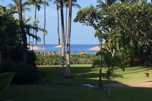 Relax in a tranquil beachfront setting surrounded by lush tropical trees and lounge chairs.