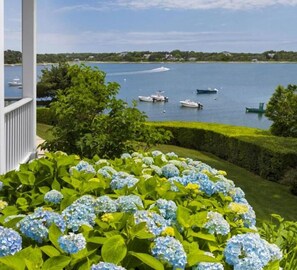 Property grounds - GREAT LOCATION - Water View, Walk to beach & Town! (Chatham)