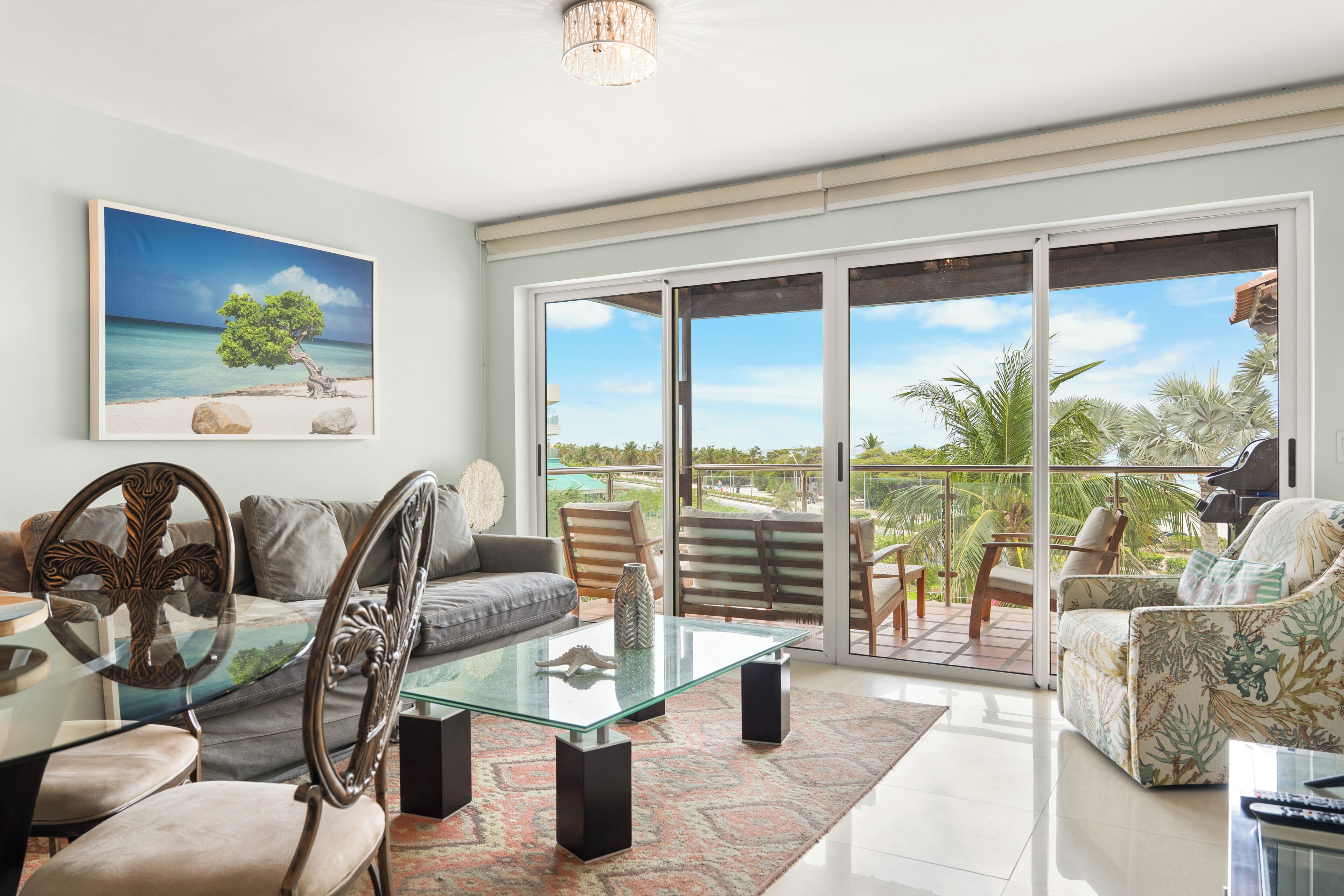 Smart TV, DVD player, books, video library