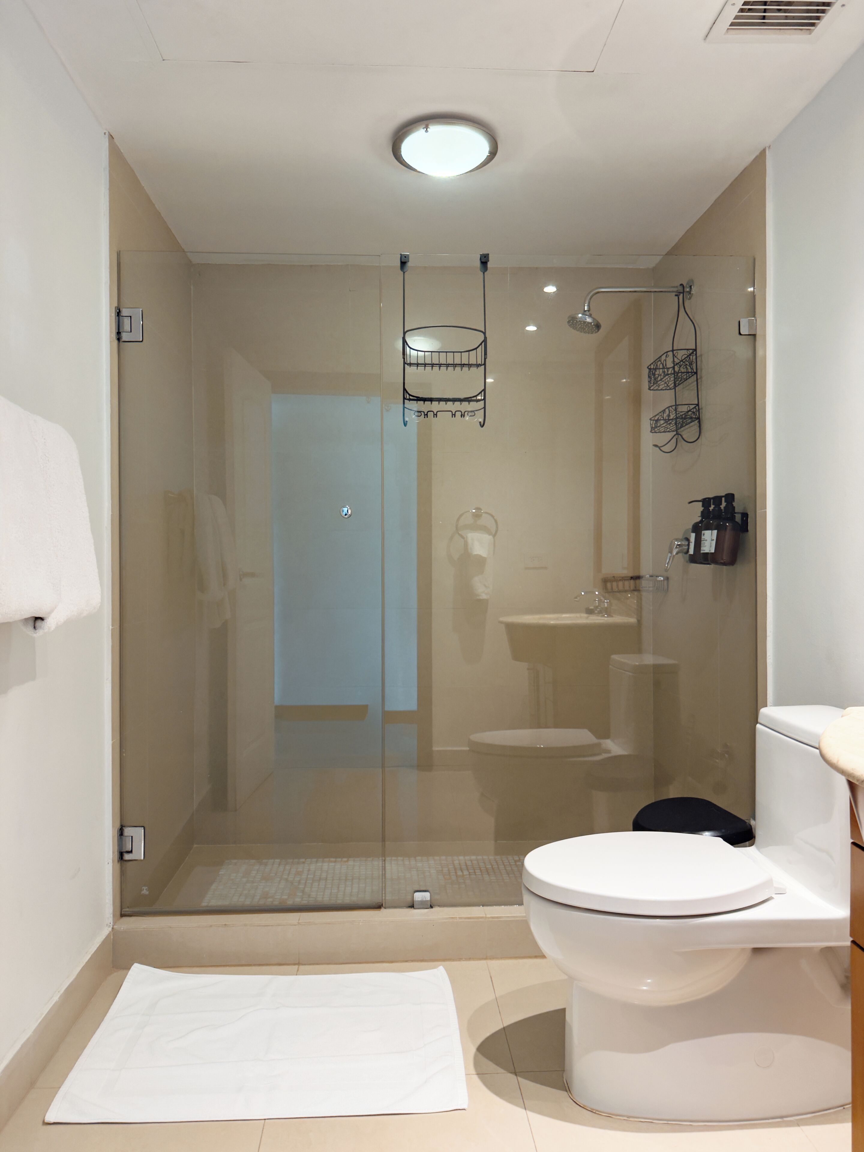 A modern bathroom with a glass-enclosed shower, a white toilet, and a sink.