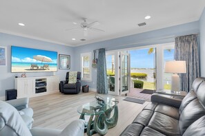 Flat-screen TV, DVD player, books, video library