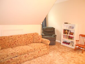 TV connectée, cheminée, lecteur de DVD, livres