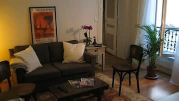 Een televisie, een open haard, een dvd-speler en boeken