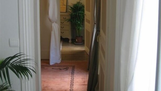 Un couloir étroit au plancher de bois, une porte blanche au fond et une plante en pot, visible au loin.
