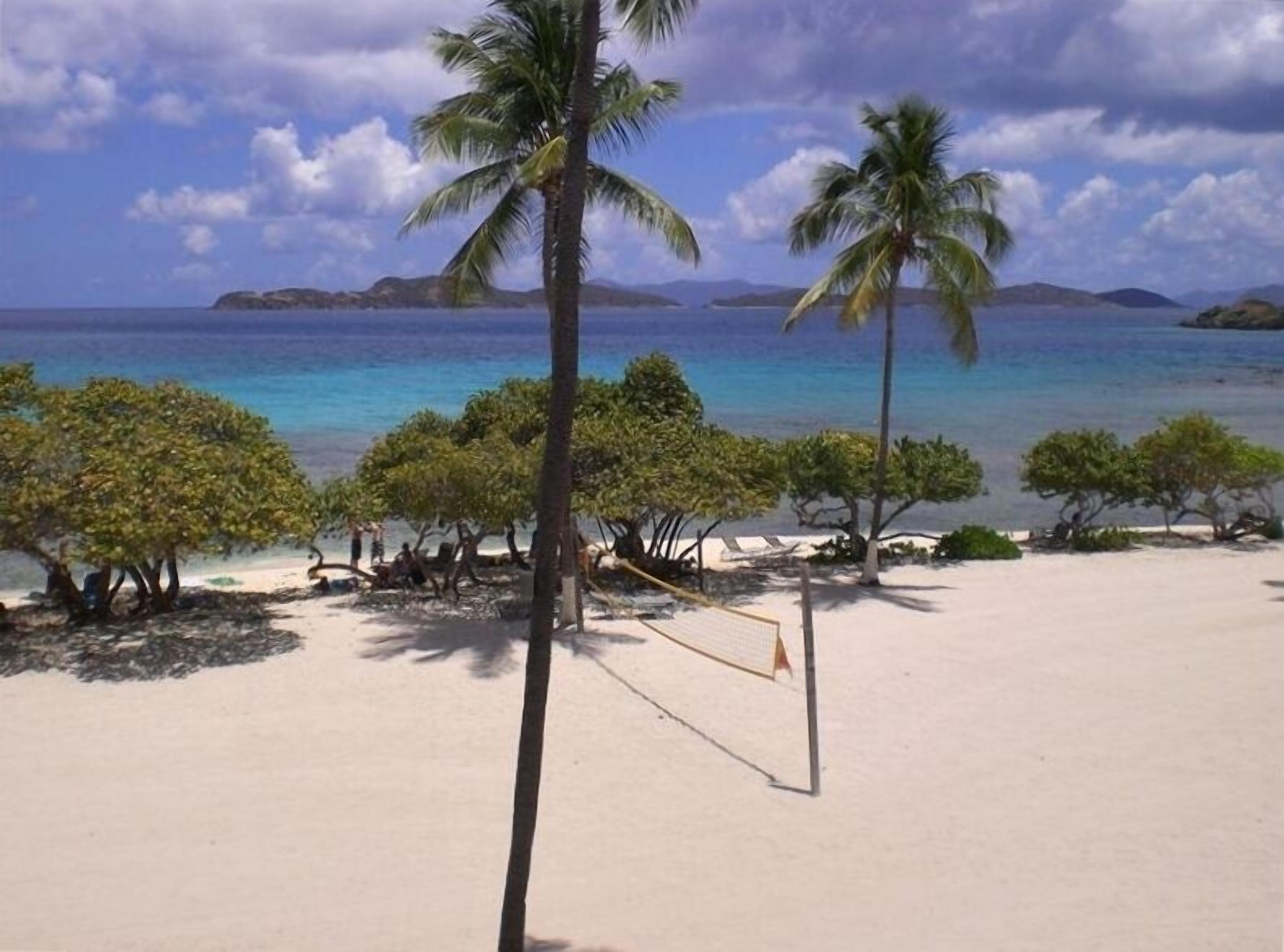 Une plage bordée de palmiers et sur laquelle est installé un filet de volley-ball.