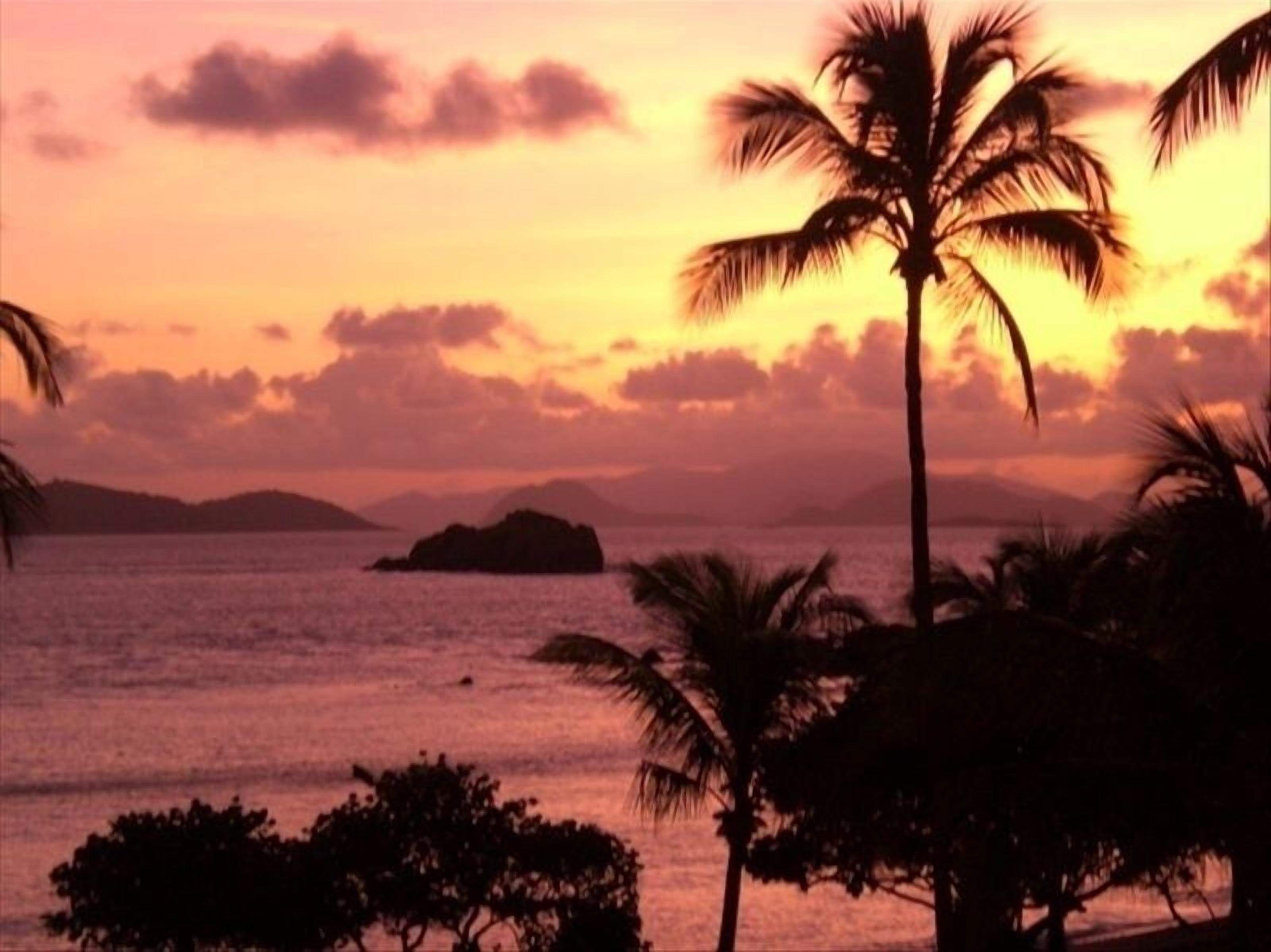 Une vue sur le coucher de soleil, avec des palmiers et une étendue d'eau.