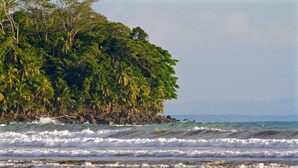 Une plage avec des vagues et un promontoire rocheux couvert de palmiers.