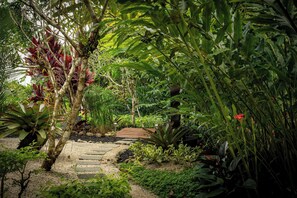 A garden with a stone pathway, various plants, and a wooden deck.