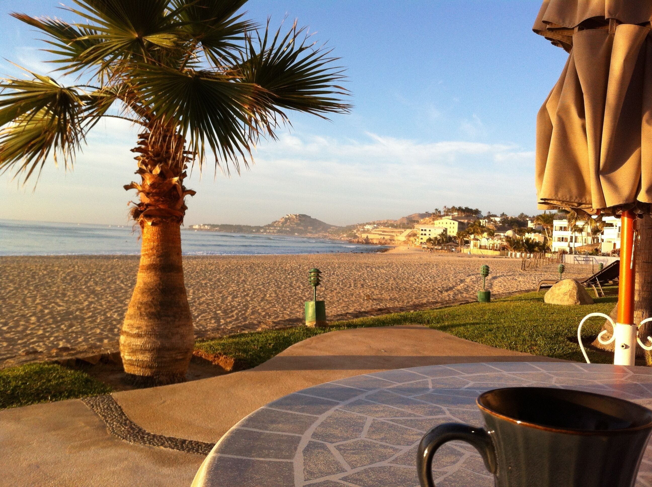 Blick auf einen Strand mit einer Palme, einem Tisch mit einer Tasse und einem Gebäude im Hintergrund.