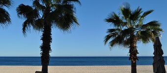 Pakene Edullinen Ocean Paradise