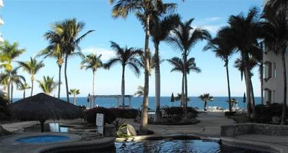 Pakene Edullinen Ocean Paradise