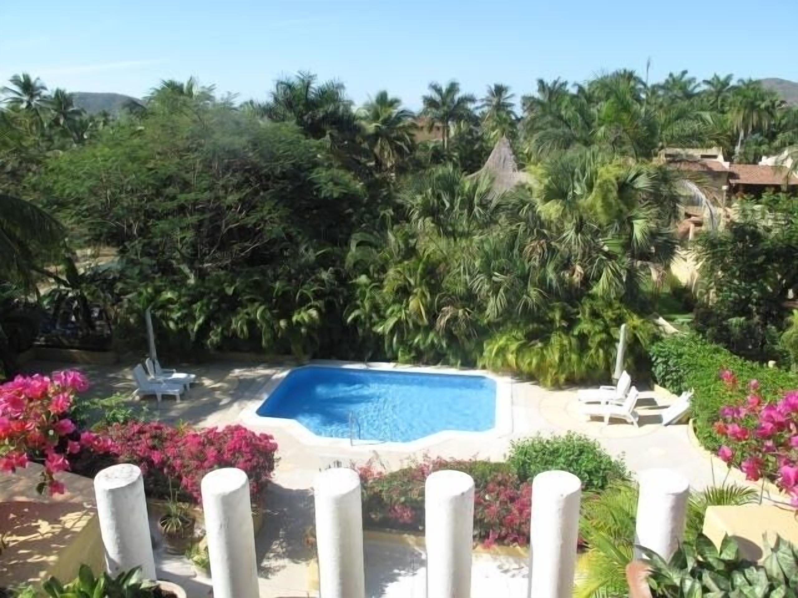 Una piscina rodeada de exuberante vegetación y sillas de descanso blancas.