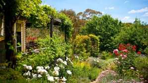 A garden with various plants and flowers, a wooden pergola, and a building with a window. - Kookaburra Ridge - beautiful home set on a 1.6 acre garden with fireplace & spa (Hepburn)