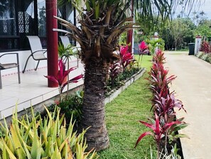 Property grounds - Book the Entire Place , Great for Families and small groups.-FREE WIFI & NETFLIX (Nuku'alofa)