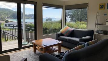 Smart TV, fireplace, DVD player