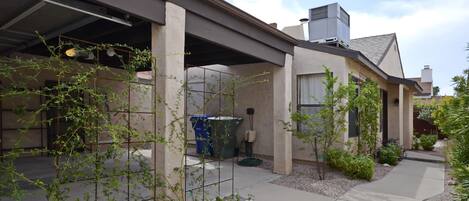 テラス / パティオ