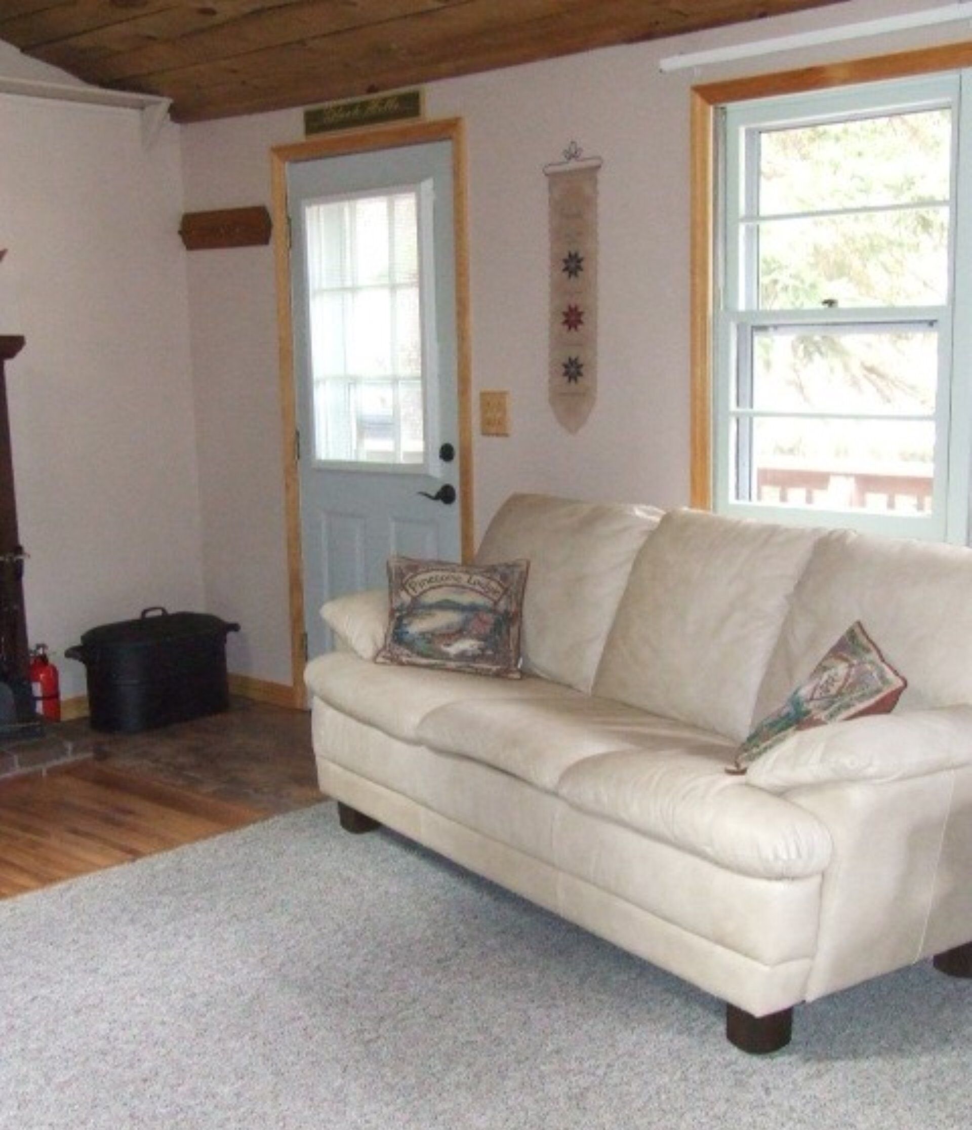 Télévision, cheminée, lecteur de DVD, livres