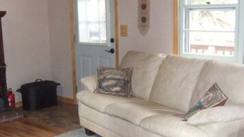 Télévision, cheminée, lecteur de DVD, livres