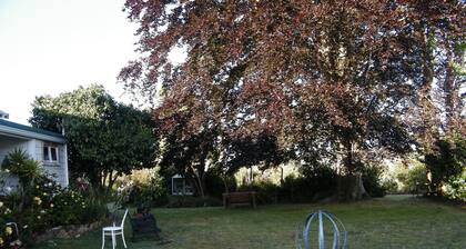 Country Homestead, Tramping, Fishing, Hunting. Relax in extensive gardens