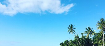 A tropical getaway for families and friends, including your furry ones!