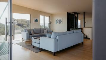 Smart TV, fireplace, books, stereo