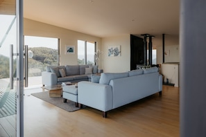 Smart TV, fireplace, books, stereo