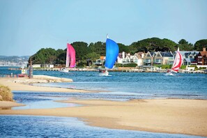 Unclassified image, 2 of 38, button