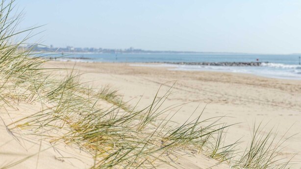 A sandy beach with dunes and a distant view of a pier.