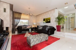 智能電視、壁爐、電子遊戲、DVD 播放機