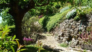 Un sendero de piedra serpentea por un jardín exuberante, lleno de plantas variadas y un gran árbol.