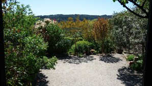 Un sendero de grava en un jardín con diversas plantas y árboles, que conduce a una colina boscosa al fondo.