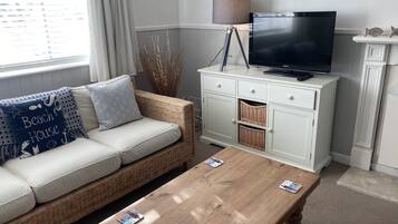 TV, fireplace, DVD player, books