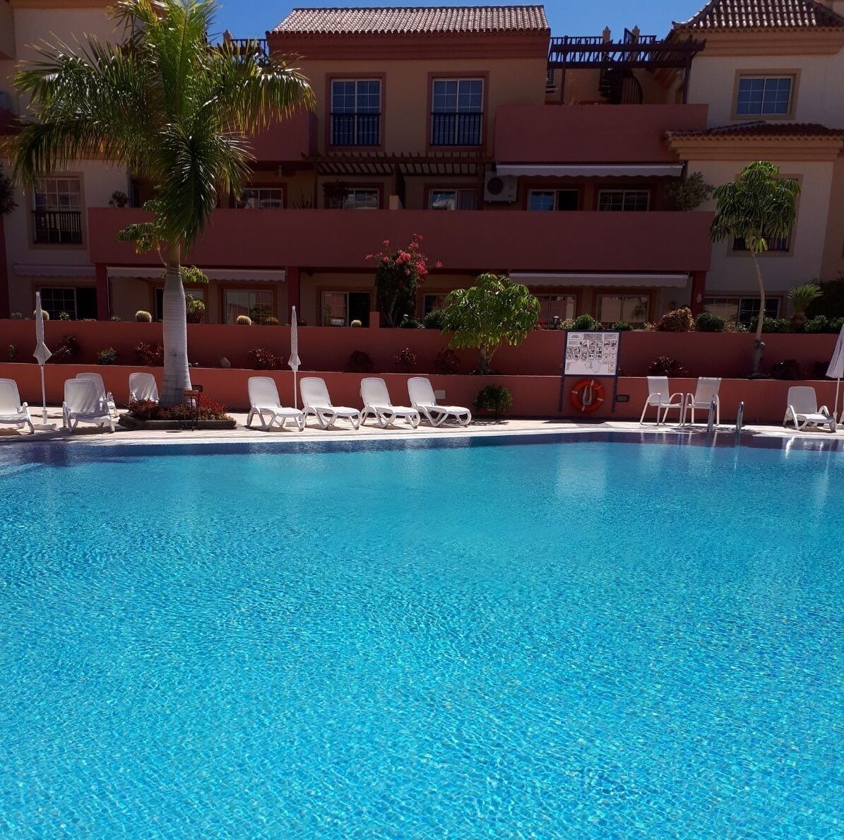 A clear blue pool with white lounge chairs and a palm tree.
