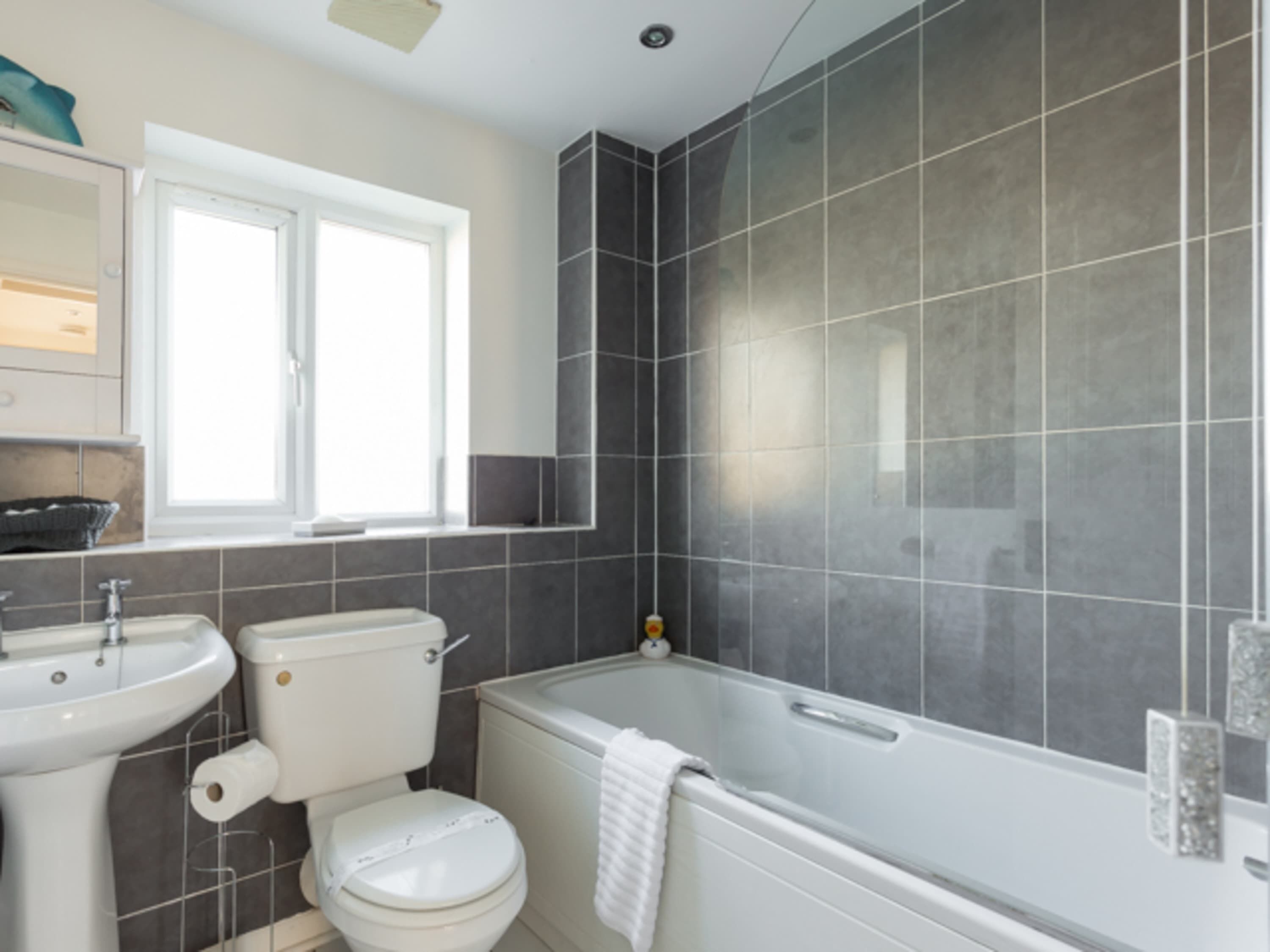 Combined shower/bathtub, free toiletries, hair dryer, towels