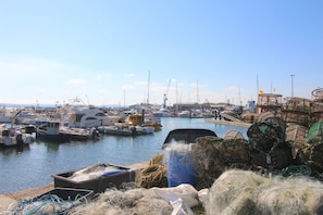 Marina - Curlew - In the Heart of Poole Town (Poole)