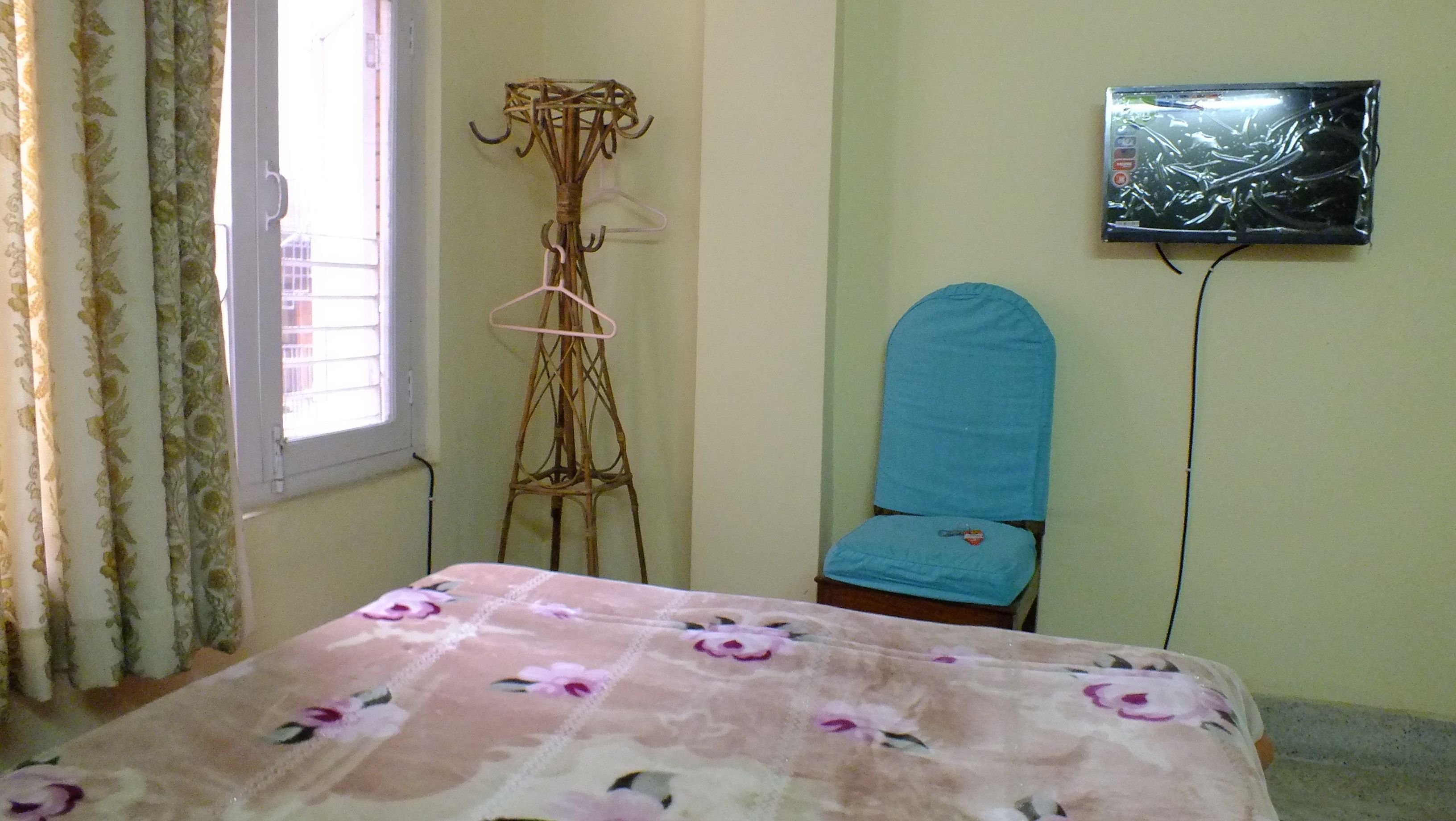 Photo - Hotel Dolphin