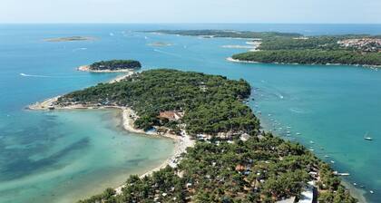 Room in Medulin with Terrace, Air condition, WIFI (3488-6)