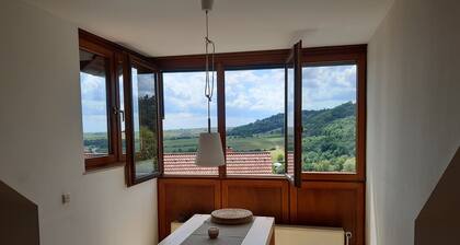 Apartment in fantastic location with view to the wineyards and the forrest