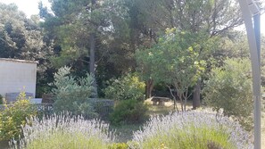 Parco della struttura