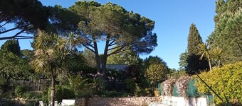 Villa with swimming pool in Valbonne.