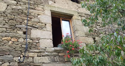 bed and breakfast in a charming manor house