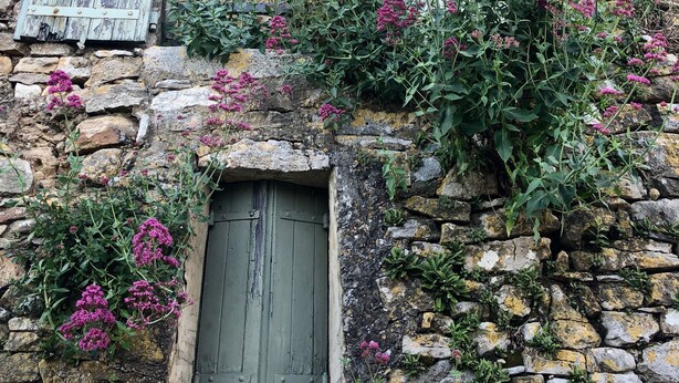 Ein rustikales Steinhaus mit einem Holsterfenster und -läden, einer kleinen Tür und blühenden Pflanzen.