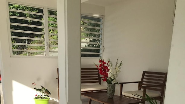Un patio con una mesa y sillas de madera, una planta verde en maceta y un banco.