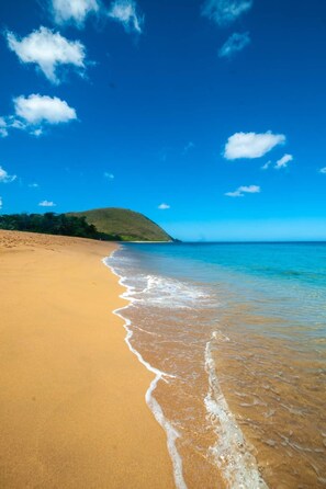 On the beach, sun loungers, beach towels - COZY COTTAGE + NETFLIX + WIFI + JACCUZZI + PARKING (Sainte rose)