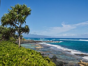 Playa en los alrededores, camastros y toallas de playa 