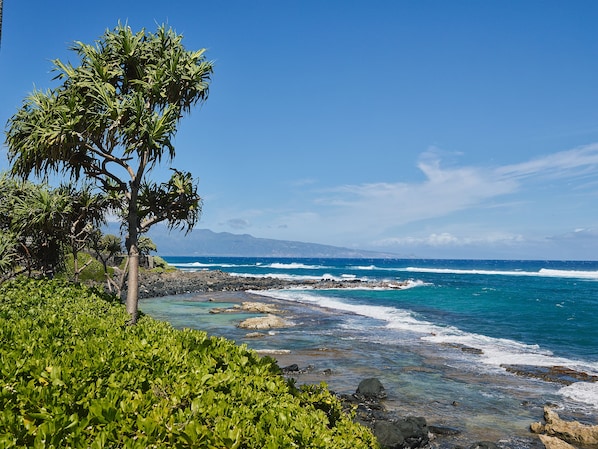 Beach nearby, sun-loungers, beach towels